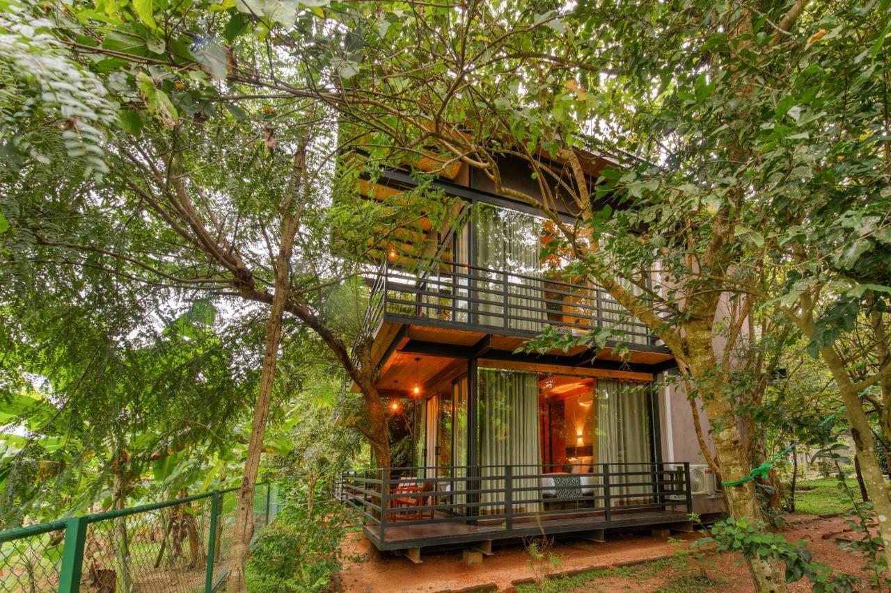 Atha Resort Sigiriya Exteriér fotografie A tree house at the resort