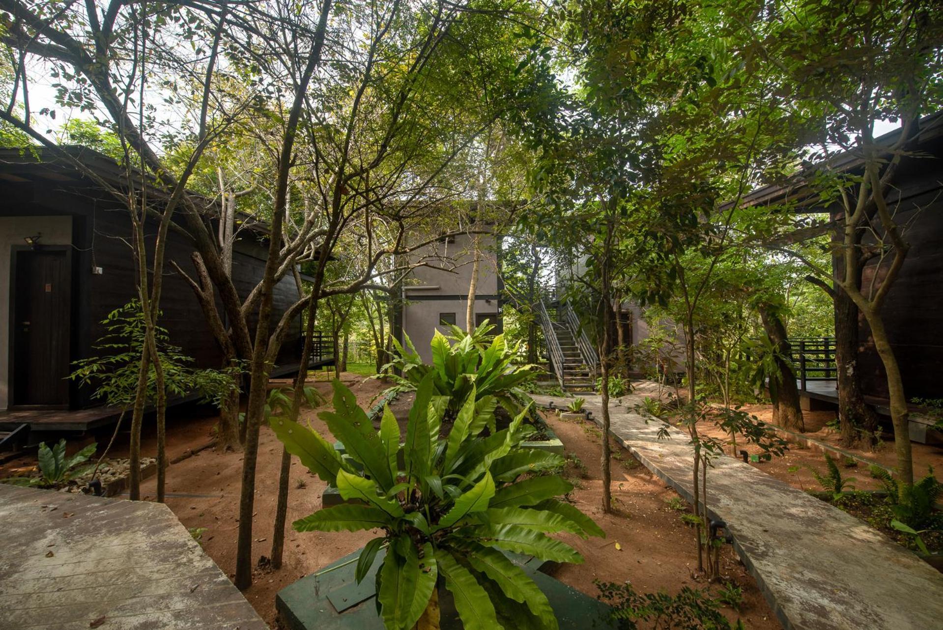 Atha Resort Sigiriya Exteriér fotografie