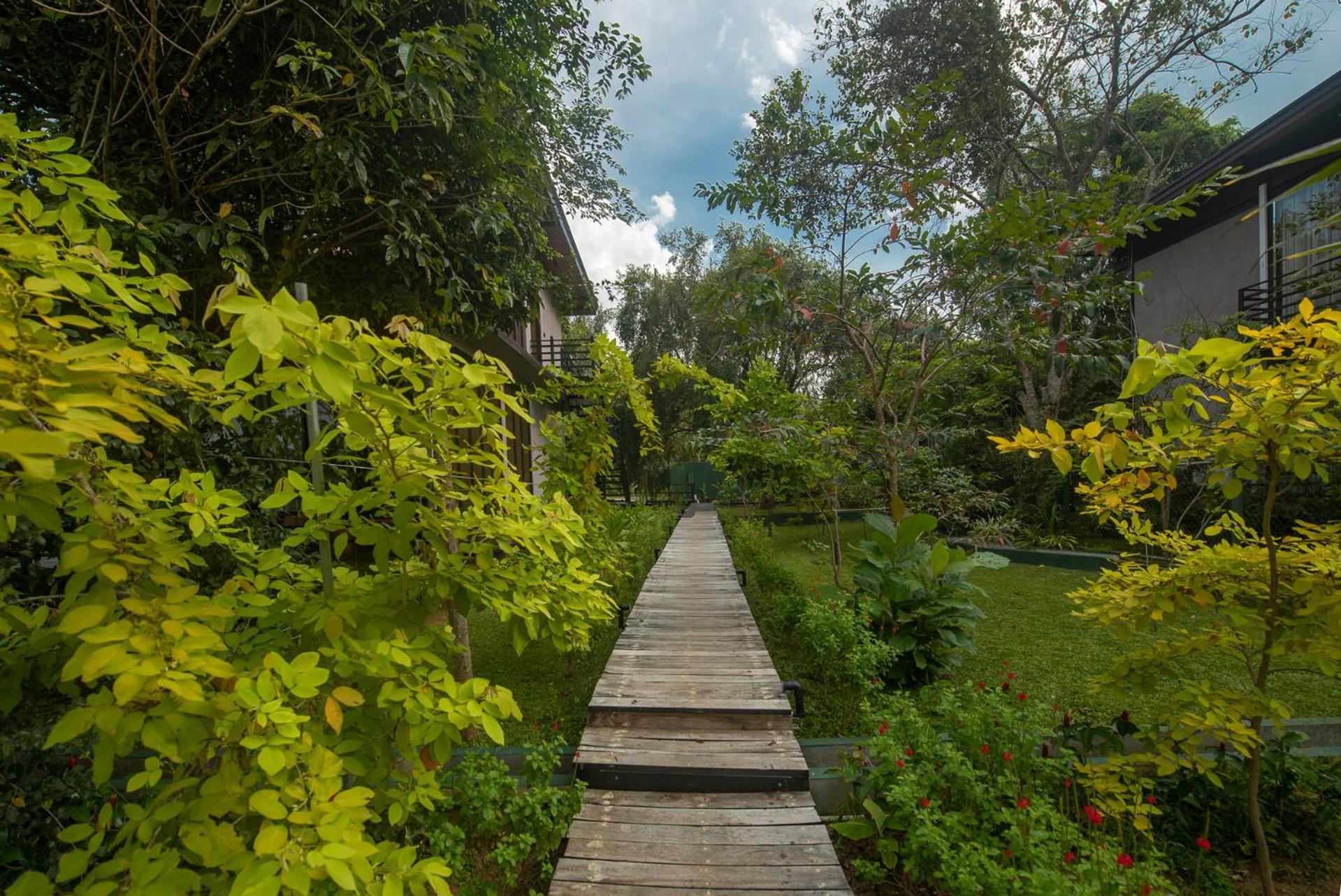 Atha Resort Sigiriya Exteriér fotografie