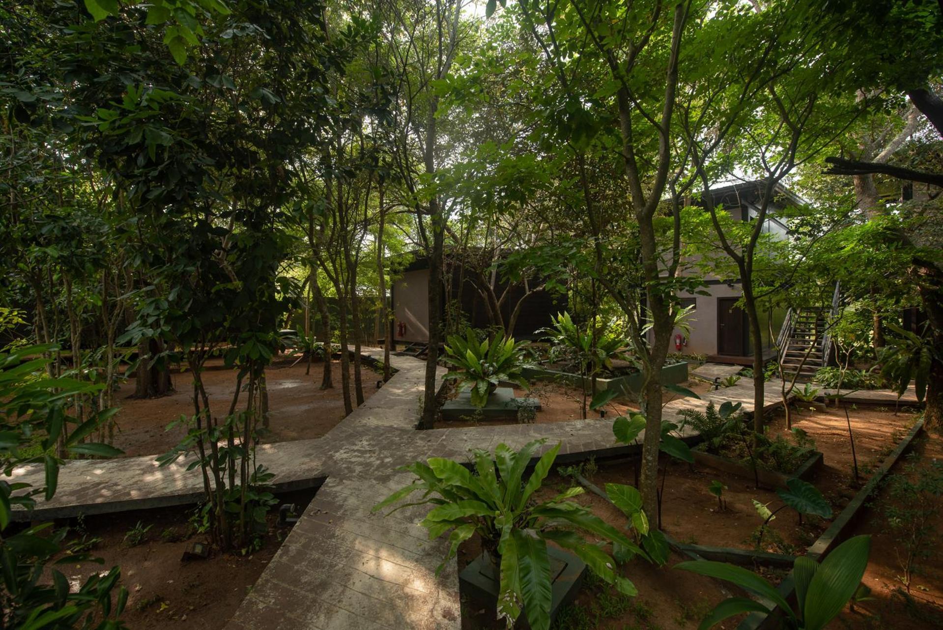 Atha Resort Sigiriya Exteriér fotografie