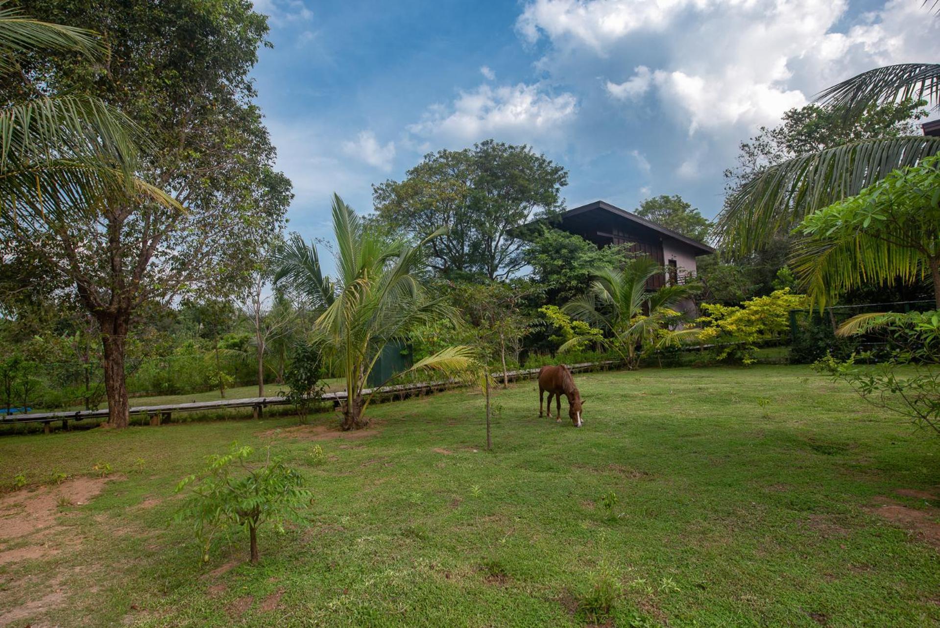 Atha Resort Sigiriya Exteriér fotografie