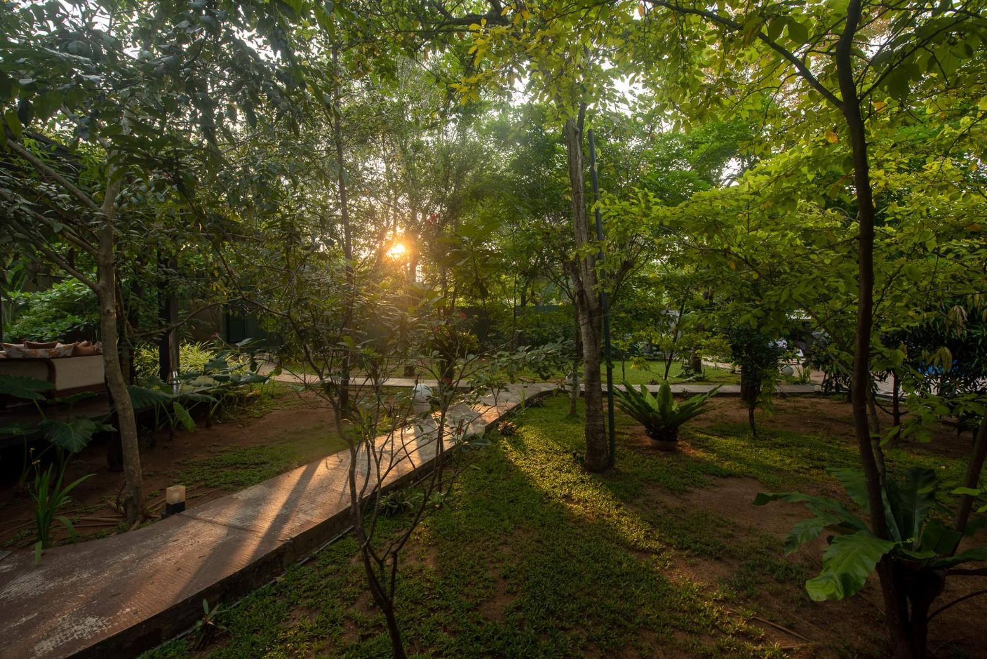 Atha Resort Sigiriya Exteriér fotografie